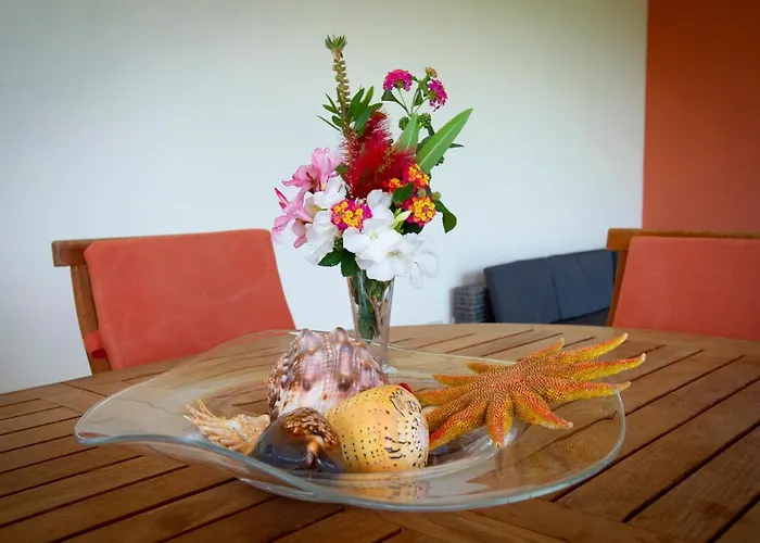 Cedrino * Сан-Теодоро